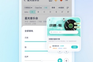 恩雅音乐app