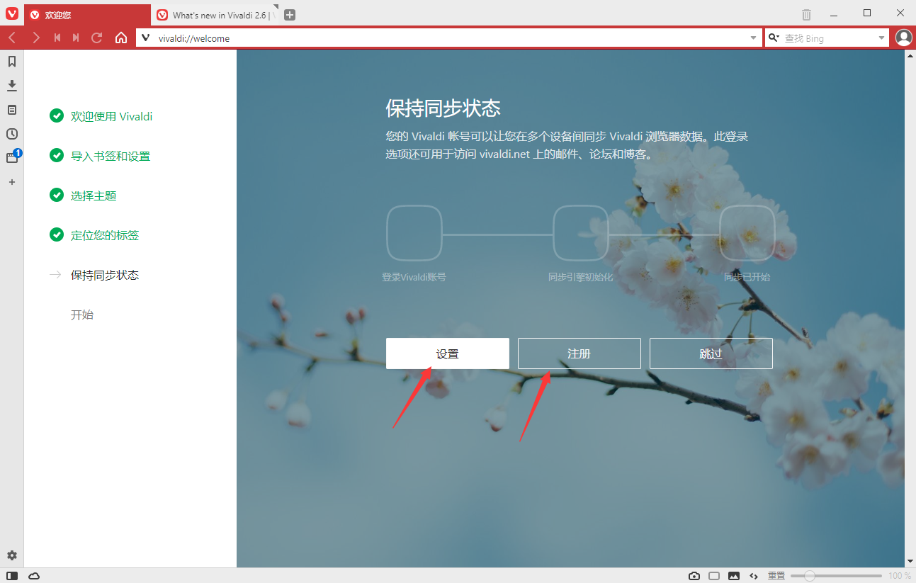 vivaldi浏览器