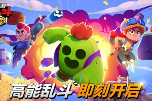 荒野乱斗账号绑定工具