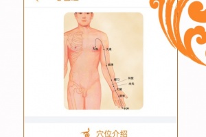 经络养生app