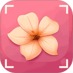 识花君植物识别