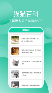 猫猫交流器最新版