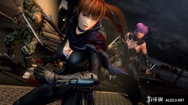 忍者龙剑传3：刀锋边缘