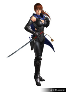 忍者龙剑传3：刀锋边缘