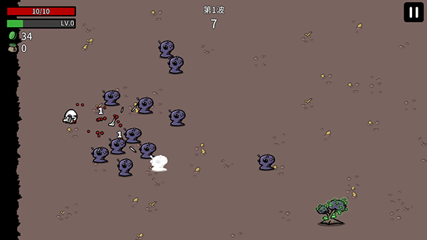 土豆兄弟国际服