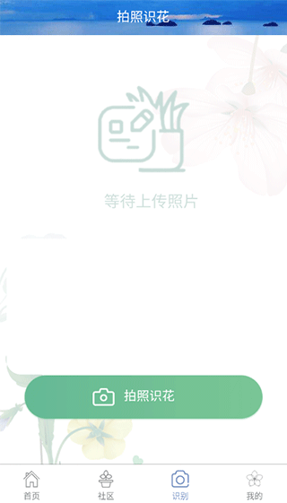 东篱花草app