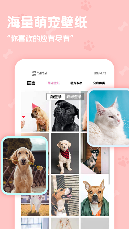 动物语言翻译器官方版