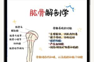 自由笔记官方版