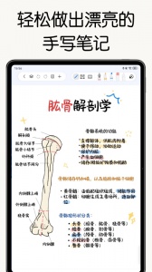 自由笔记官方版