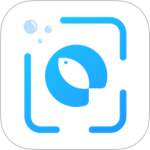 问鱼app