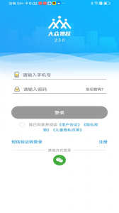大众物联app