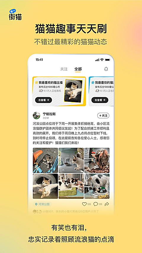 哈啰街猫app