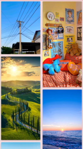 天天看韩剧tv版