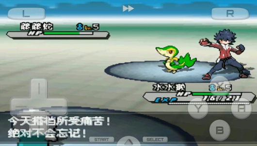 口袋妖怪白2（金手指代码）