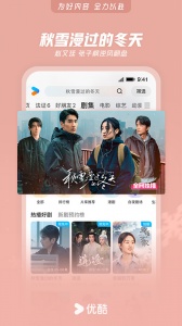 优酷华为定制版