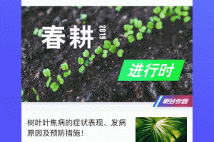 云上智农app