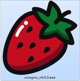 NCM音乐转换器