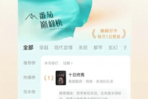 红果小说
