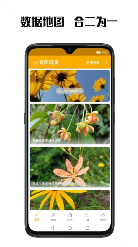 数图最新版