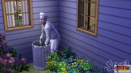 模拟人生中文珍藏版