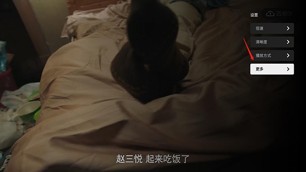 B站TV版(云视听小电视)