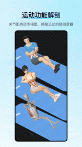 解剖大师手机版