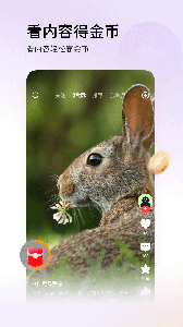 头条搜索极速版app